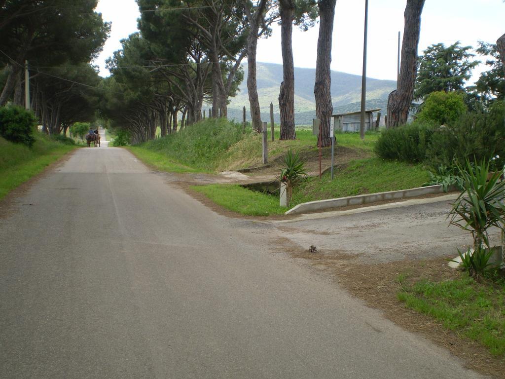 Agriturismo Ternova アルベレーゼ エクステリア 写真